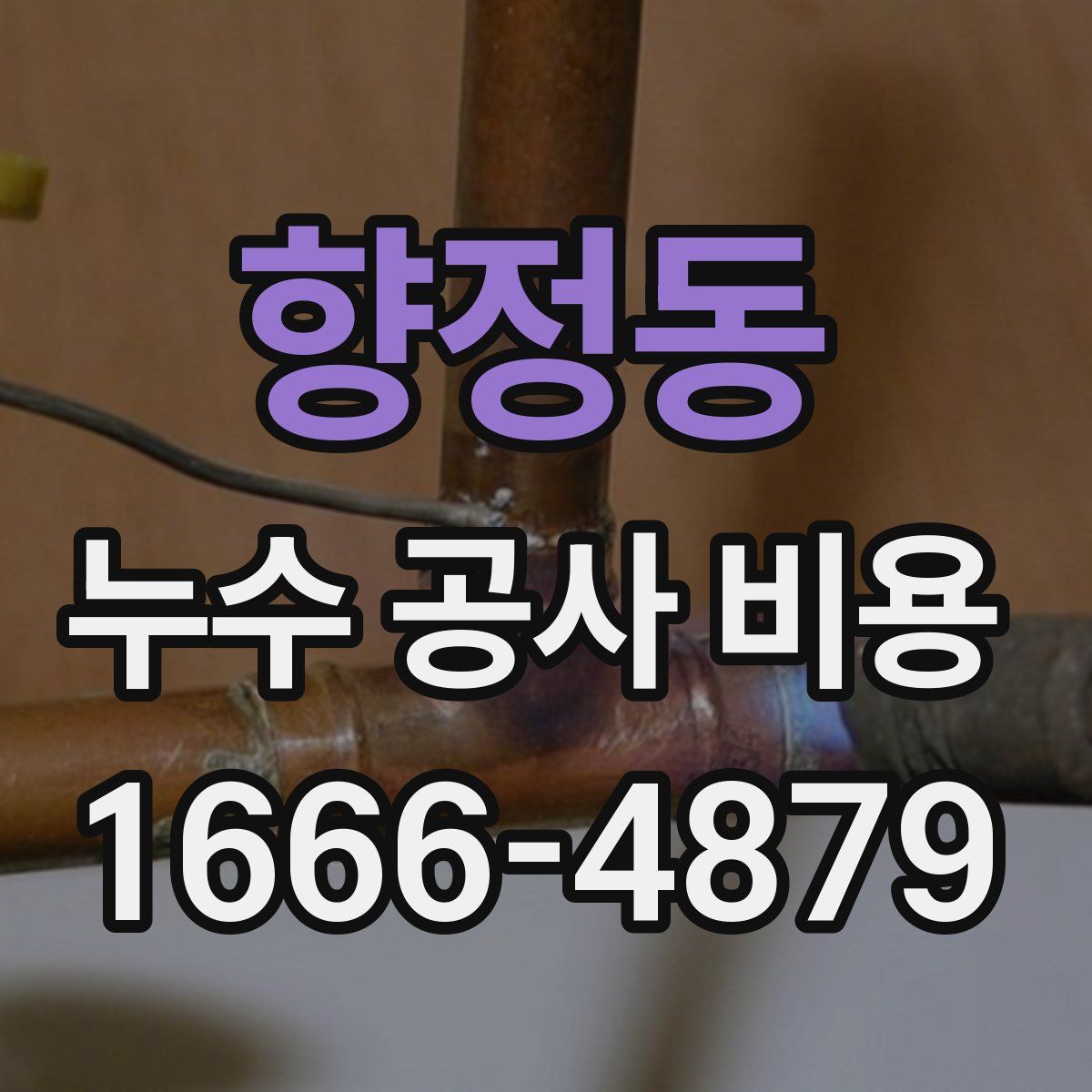 향정동 누수 공사 비용