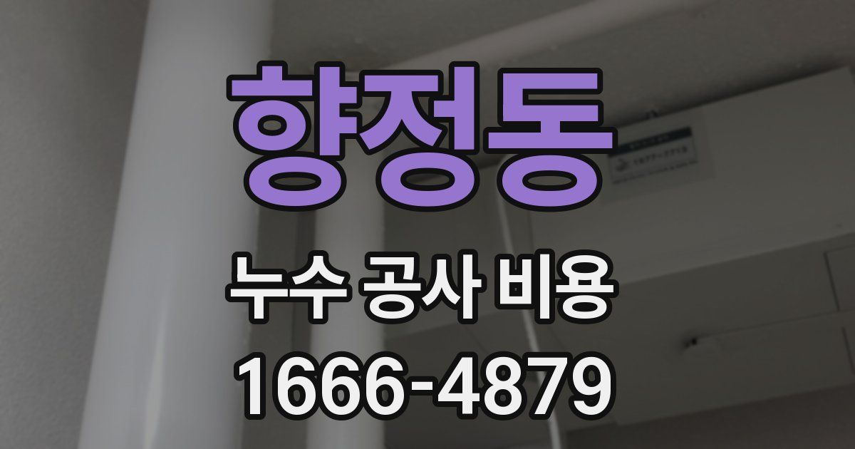 향정동 누수 공사 비용