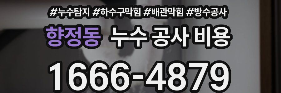 향정동 누수 공사 비용