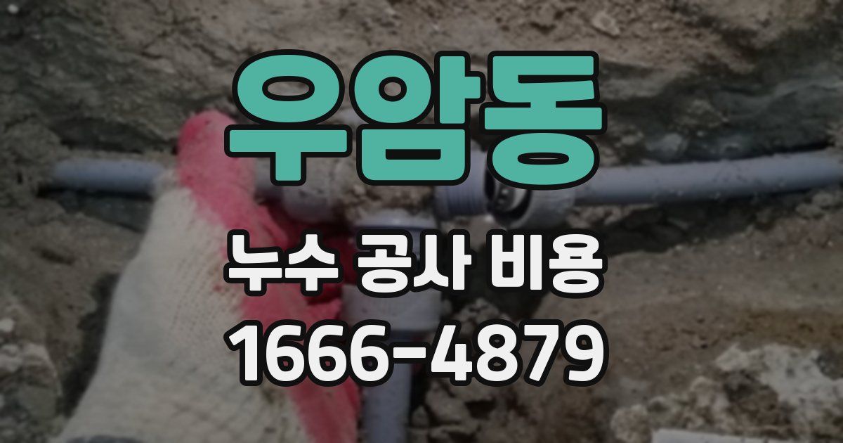 우암동 누수 공사 비용