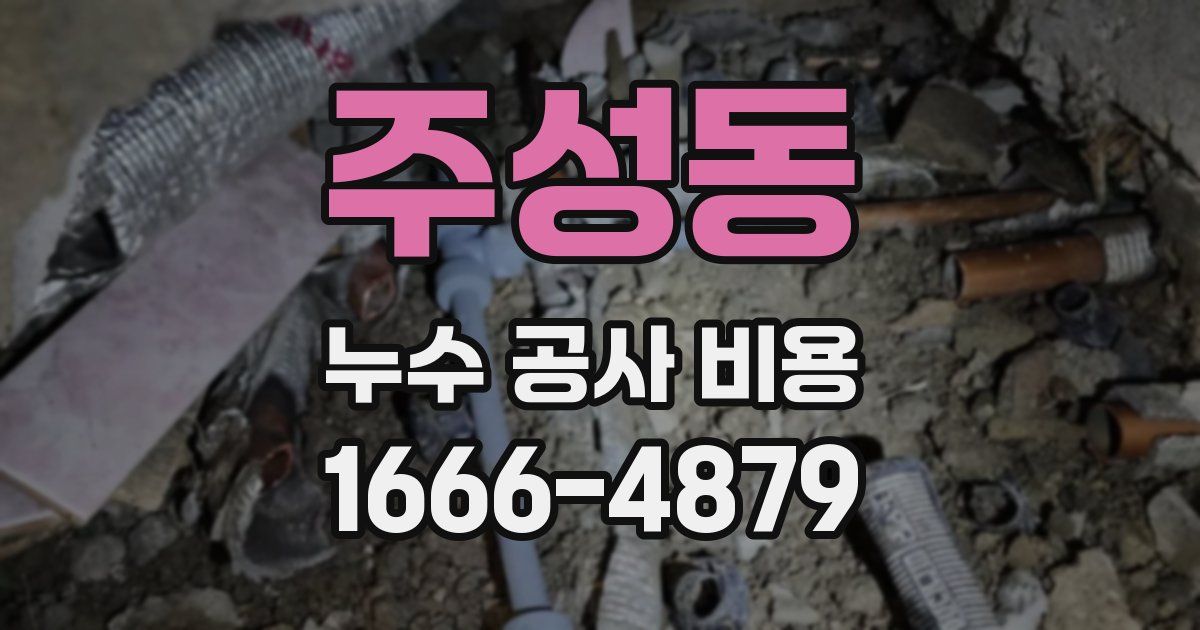 주성동 누수 공사 비용