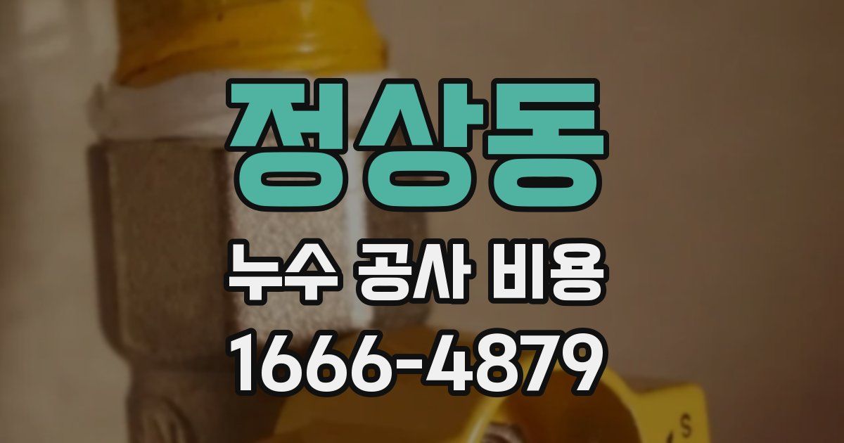 정상동 누수 공사 비용