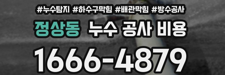 정상동 누수 공사 비용