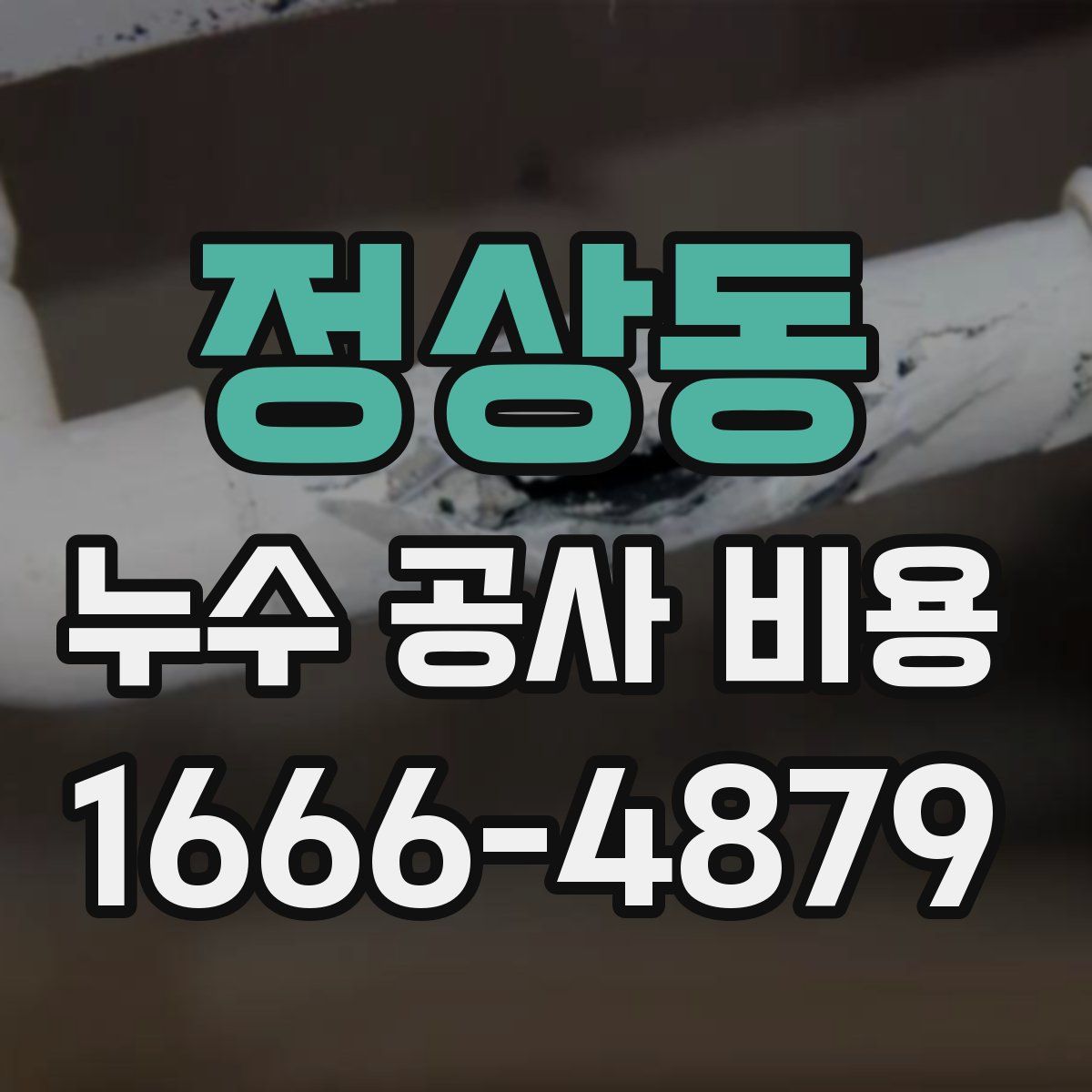 정상동 누수 공사 비용