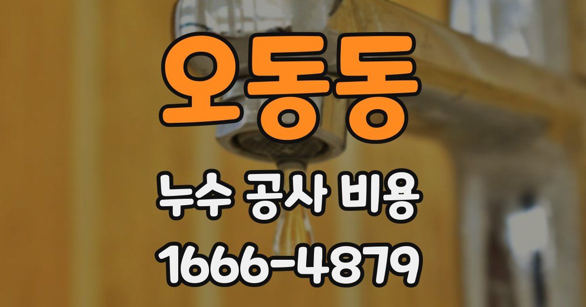 오동동 누수 공사 비용