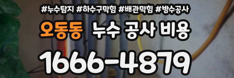오동동 누수 공사 비용