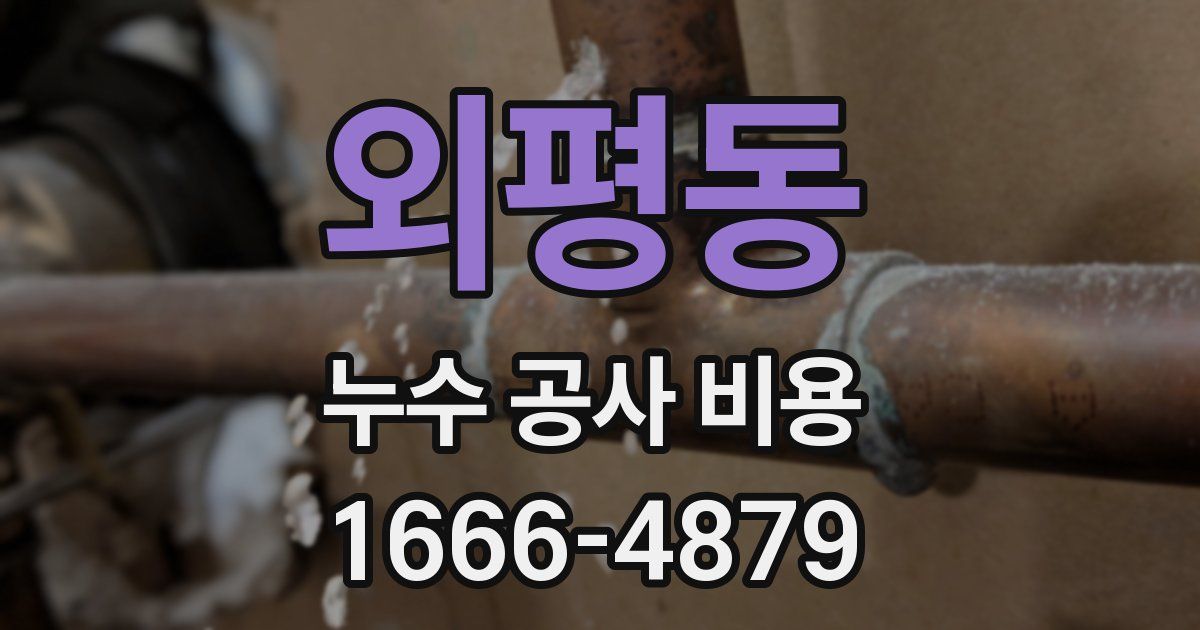 외평동 누수 공사 비용