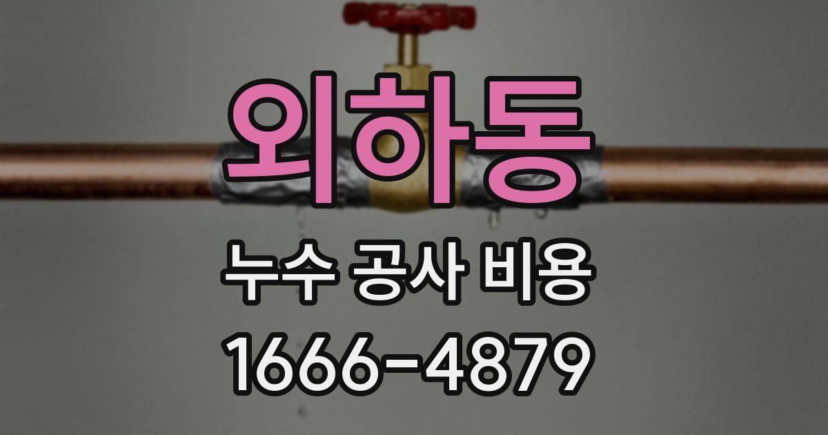 외하동 누수 공사 비용