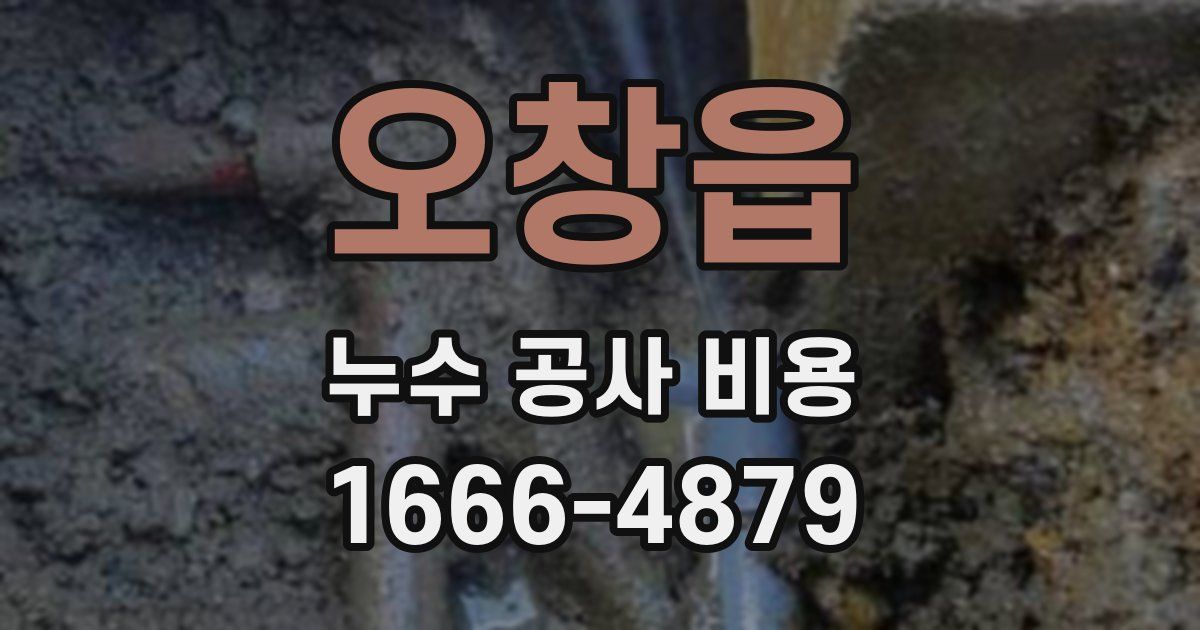 오창읍 누수 공사 비용