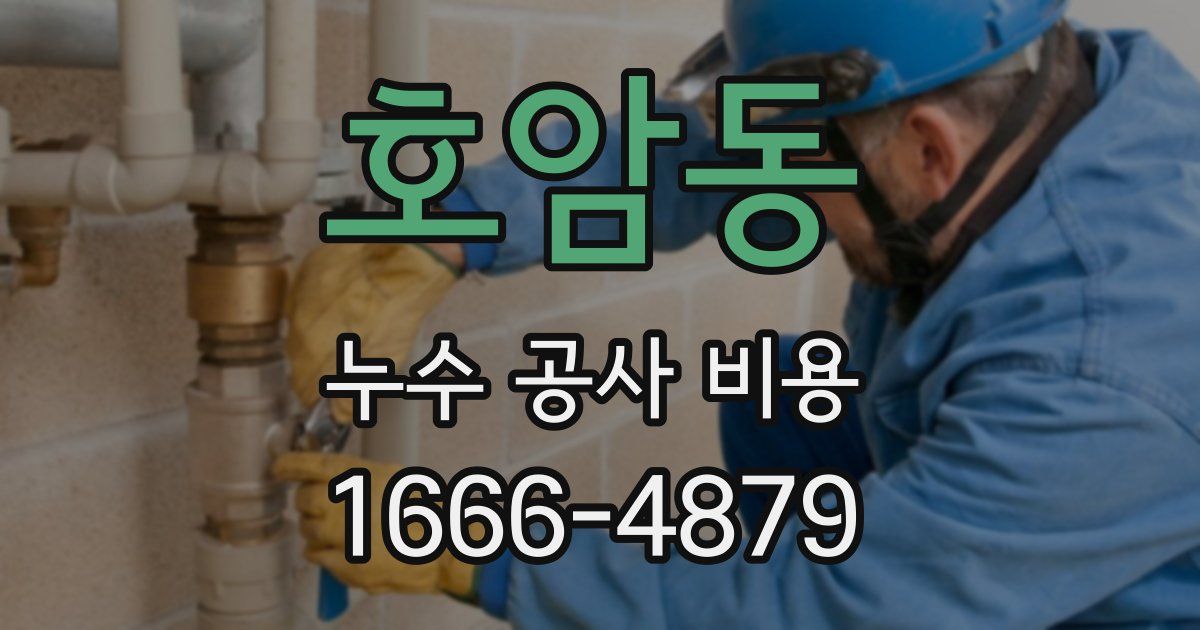 호암동 누수 공사 비용