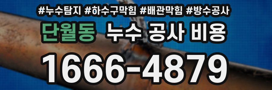 단월동 누수 공사 비용