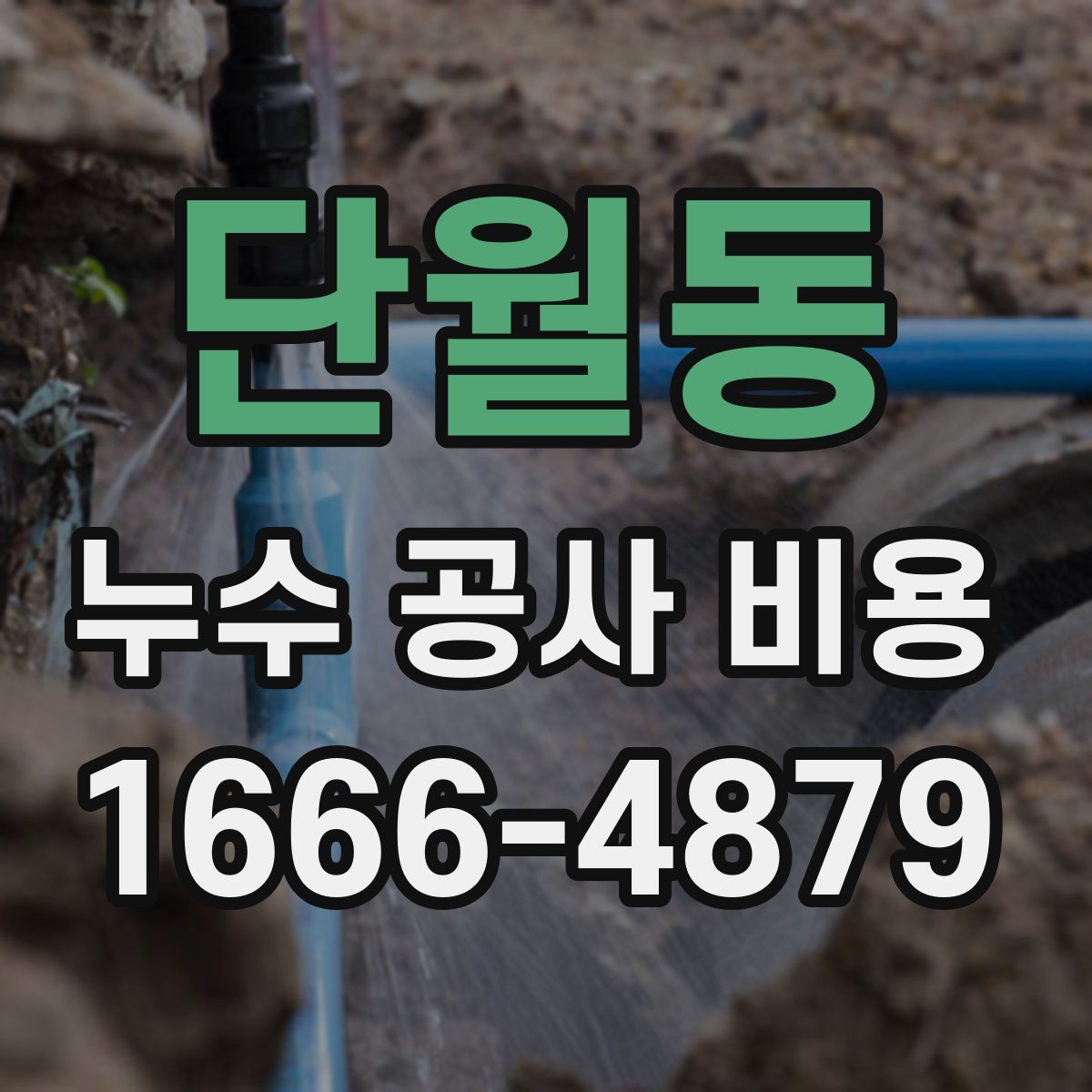 단월동 누수 공사 비용