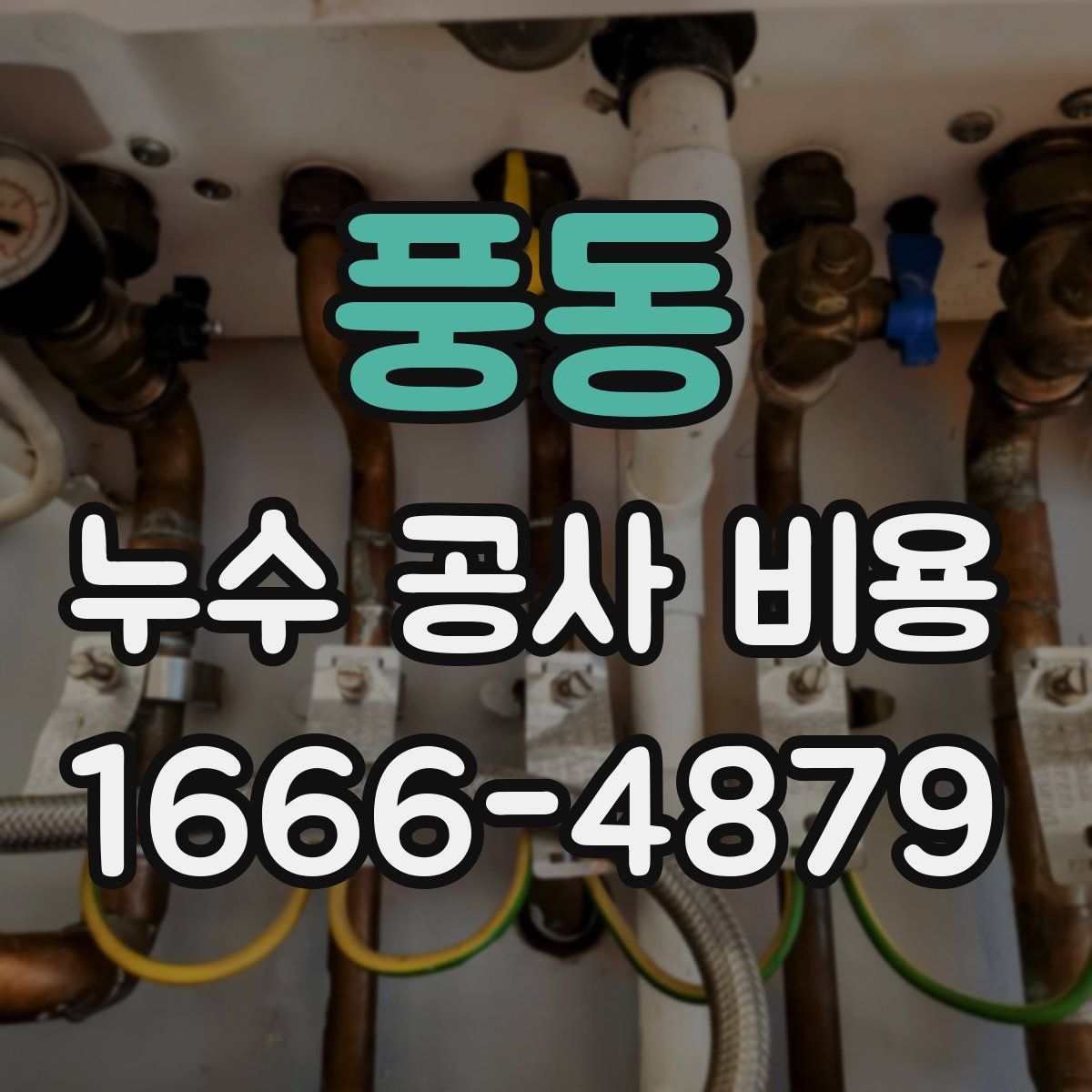 풍동 누수 공사 비용