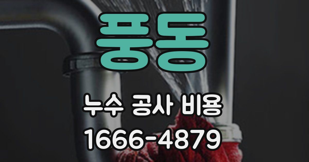 풍동 누수 공사 비용