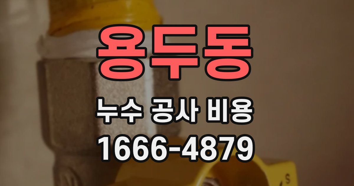 용두동 누수 공사 비용