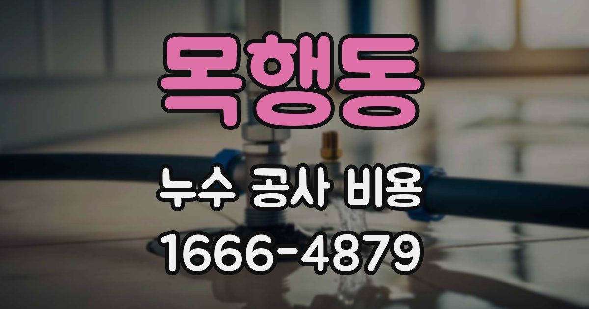 목행동 누수 공사 비용