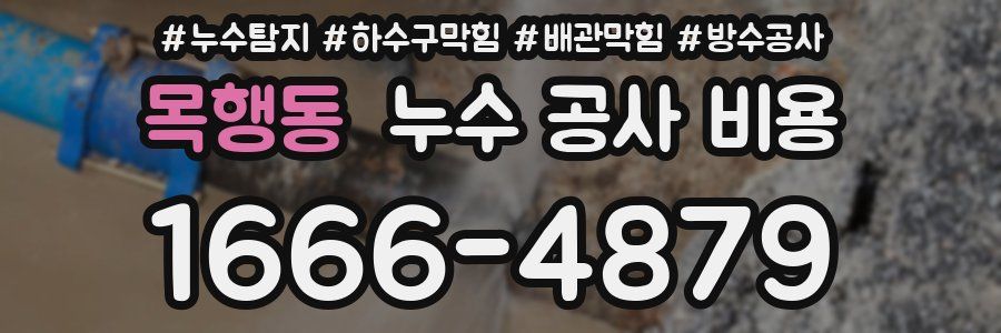 목행동 누수 공사 비용