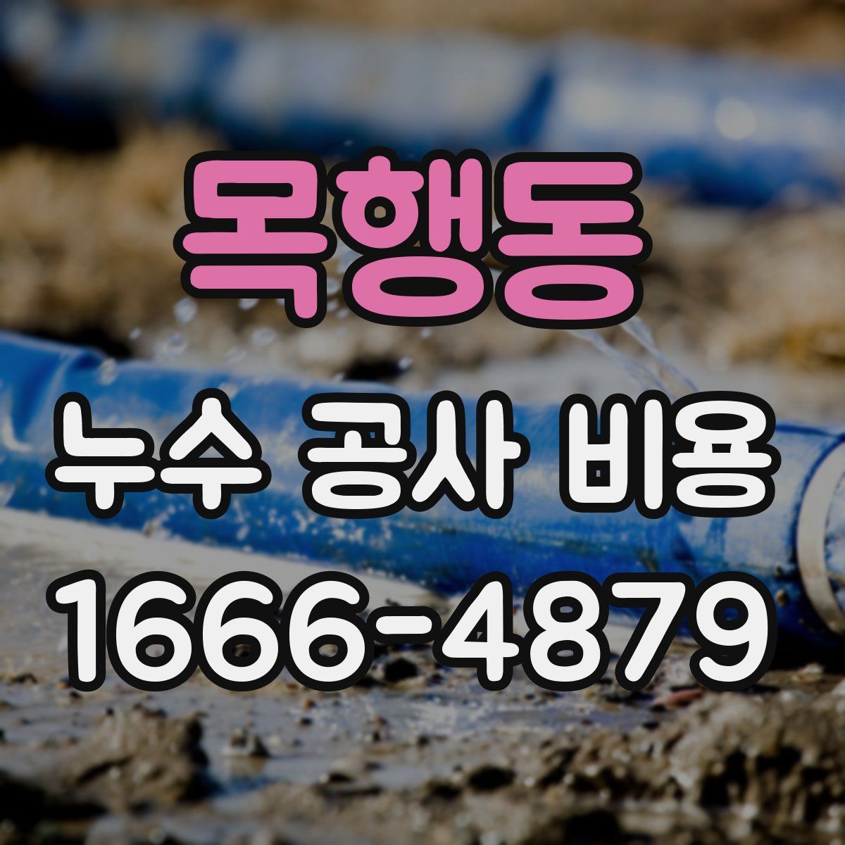 목행동 누수 공사 비용