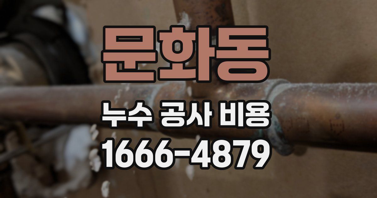 문화동 누수 공사 비용
