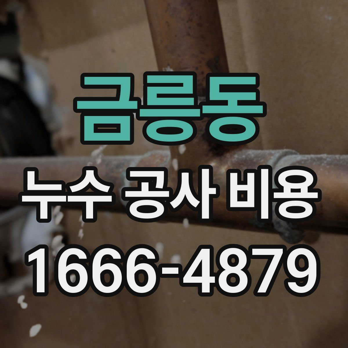 금릉동 누수 공사 비용