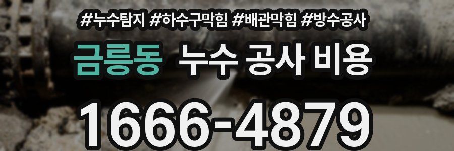 금릉동 누수 공사 비용