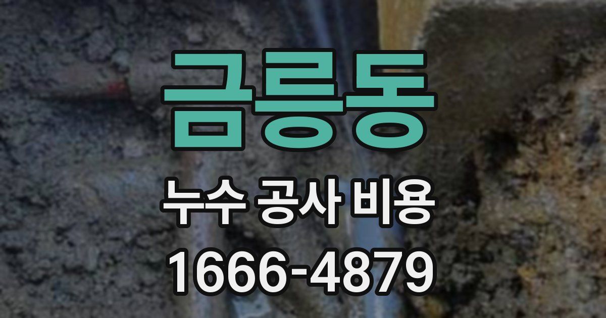 금릉동 누수 공사 비용