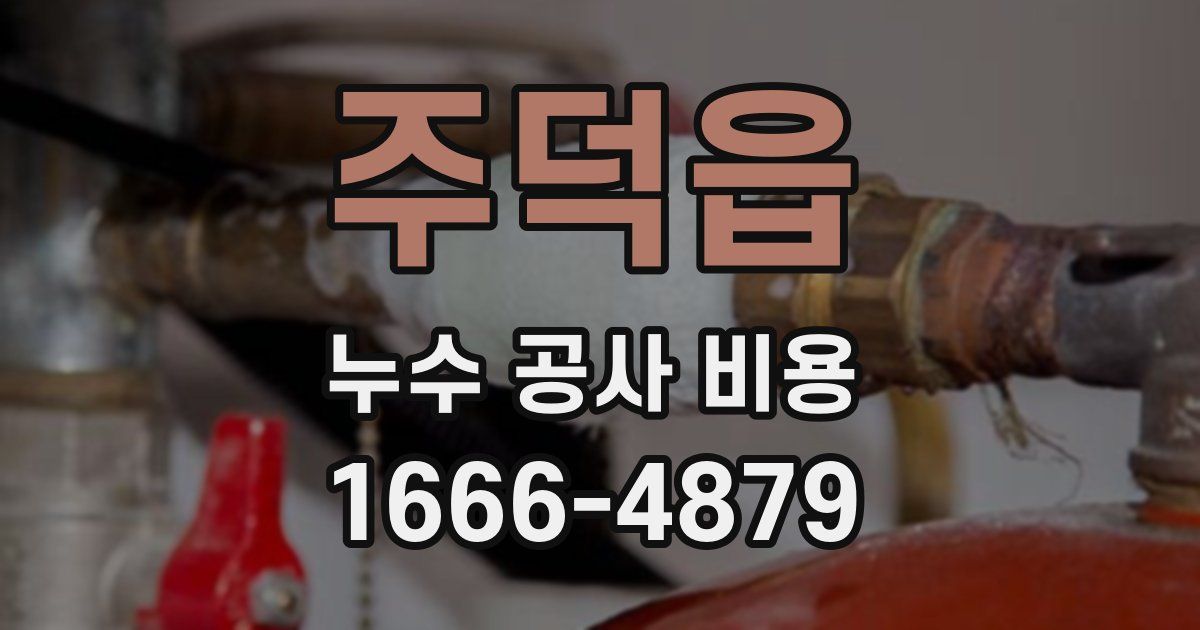주덕읍 누수 공사 비용