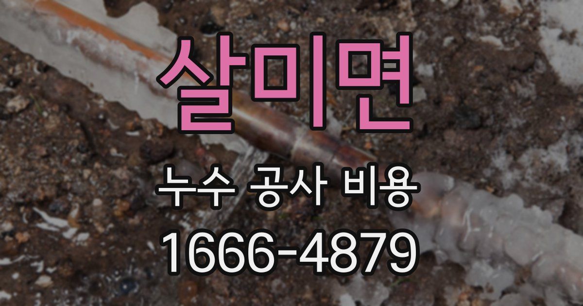 살미면 누수 공사 비용