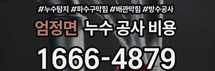 엄정면 누수 공사 비용