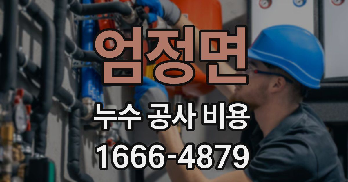 엄정면 누수 공사 비용