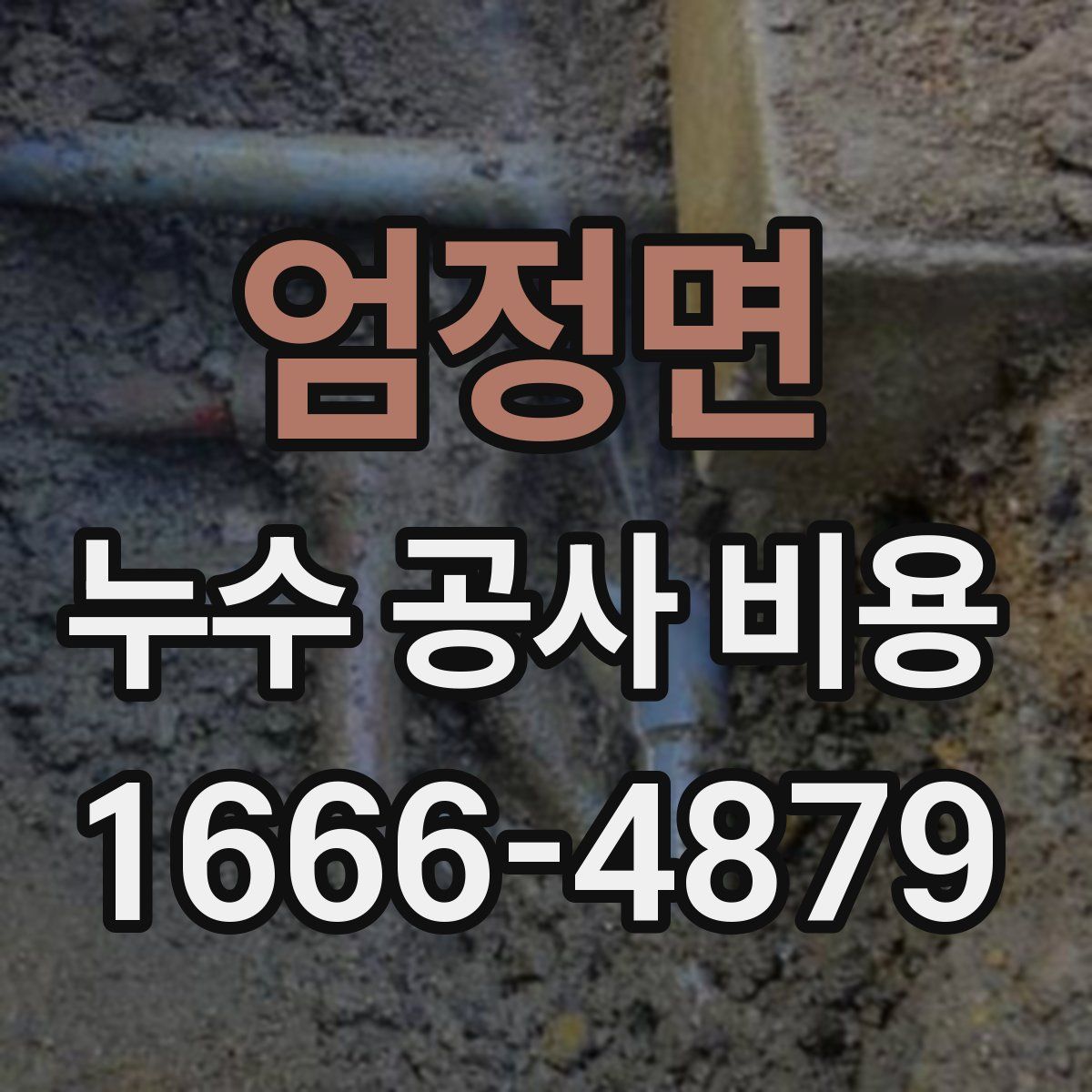 엄정면 누수 공사 비용