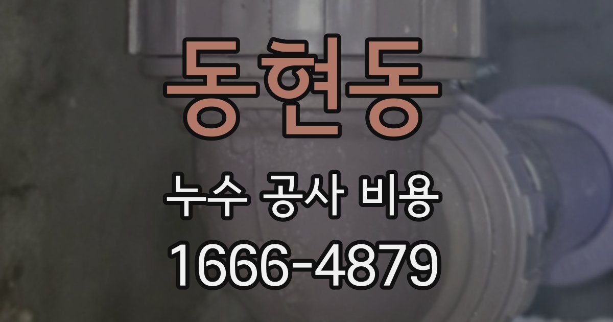 동현동 누수 공사 비용