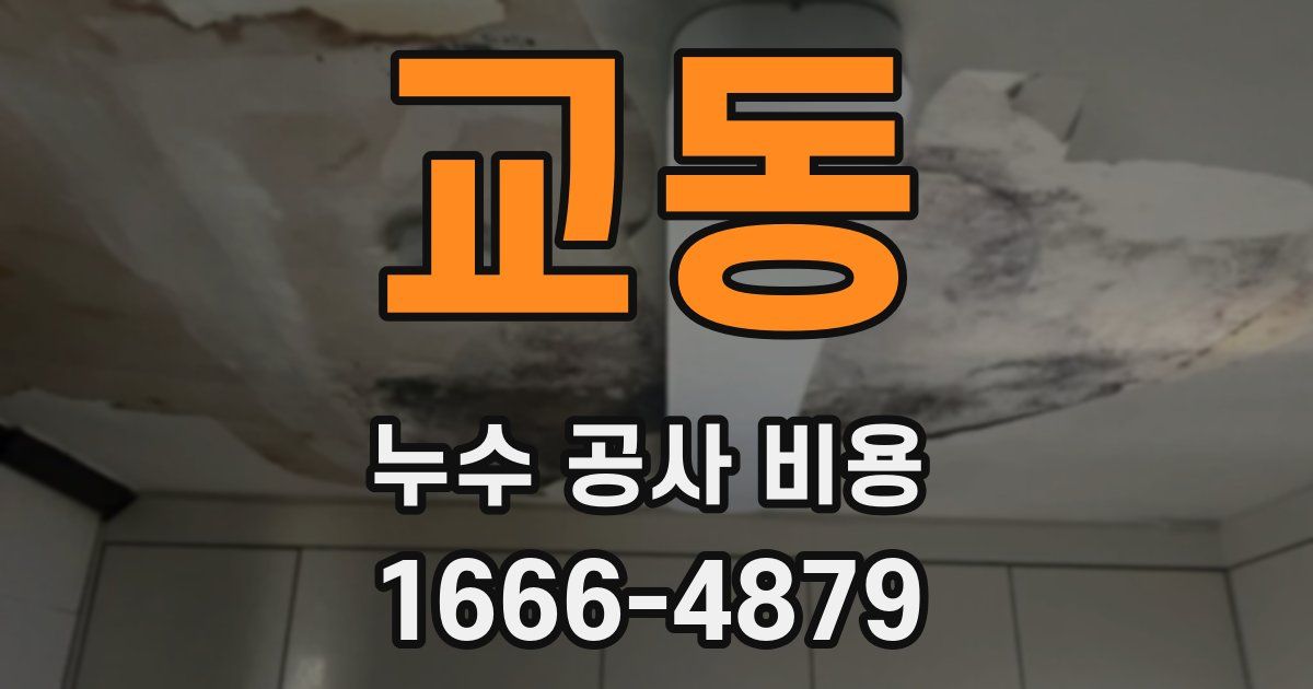 교동 누수 공사 비용