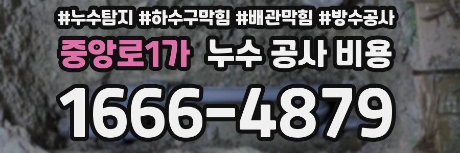 중앙로1가 누수 공사 비용