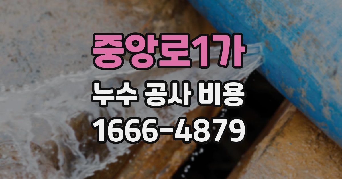 중앙로1가 누수 공사 비용