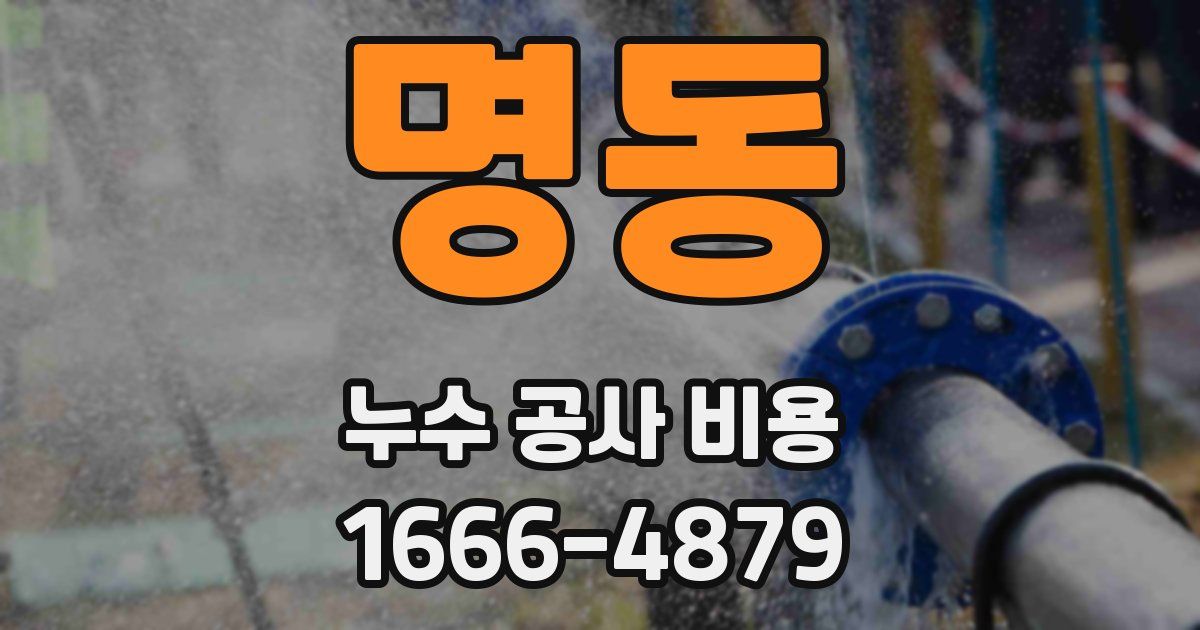 명동 누수 공사 비용