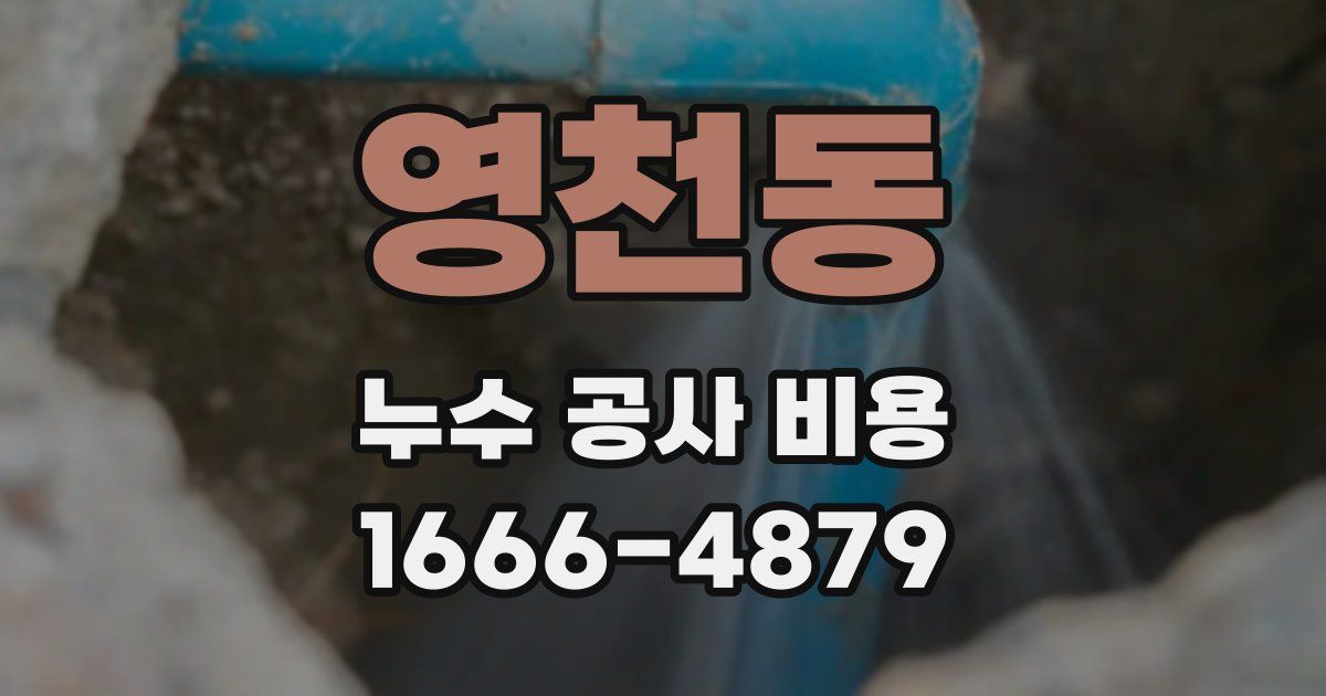 영천동 누수 공사 비용