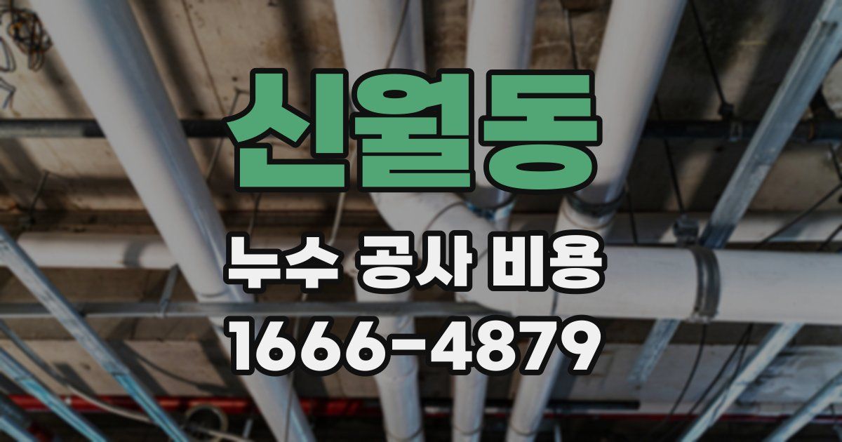 신월동 누수 공사 비용
