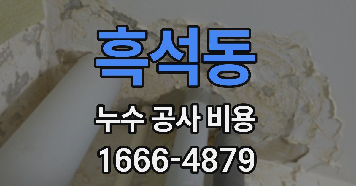 흑석동 누수 공사 비용