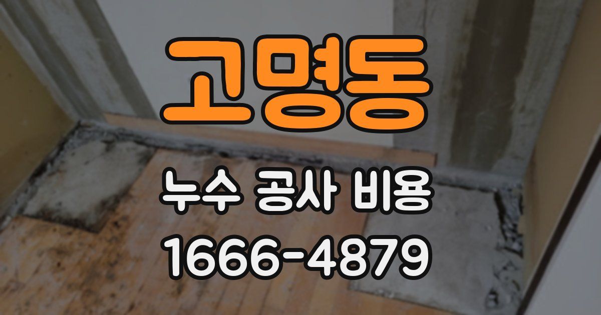 고명동 누수 공사 비용