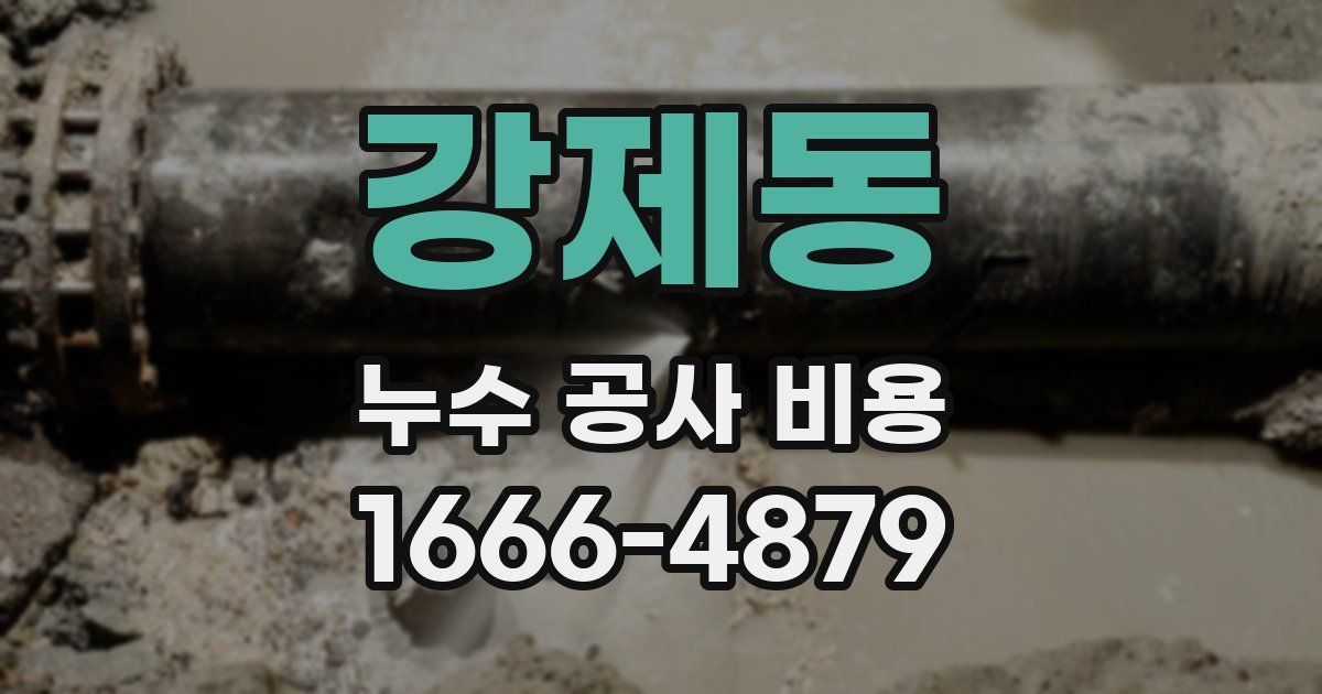 강제동 누수 공사 비용