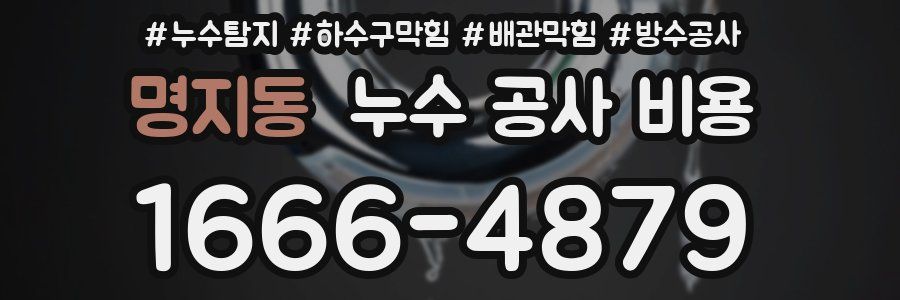 명지동 누수 공사 비용