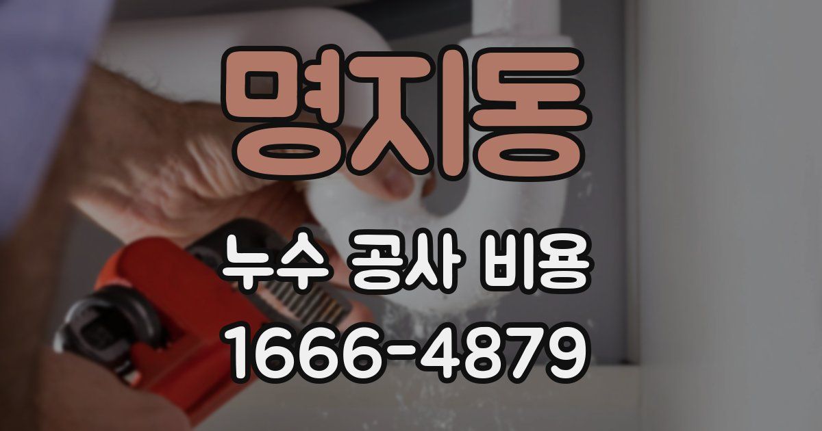 명지동 누수 공사 비용
