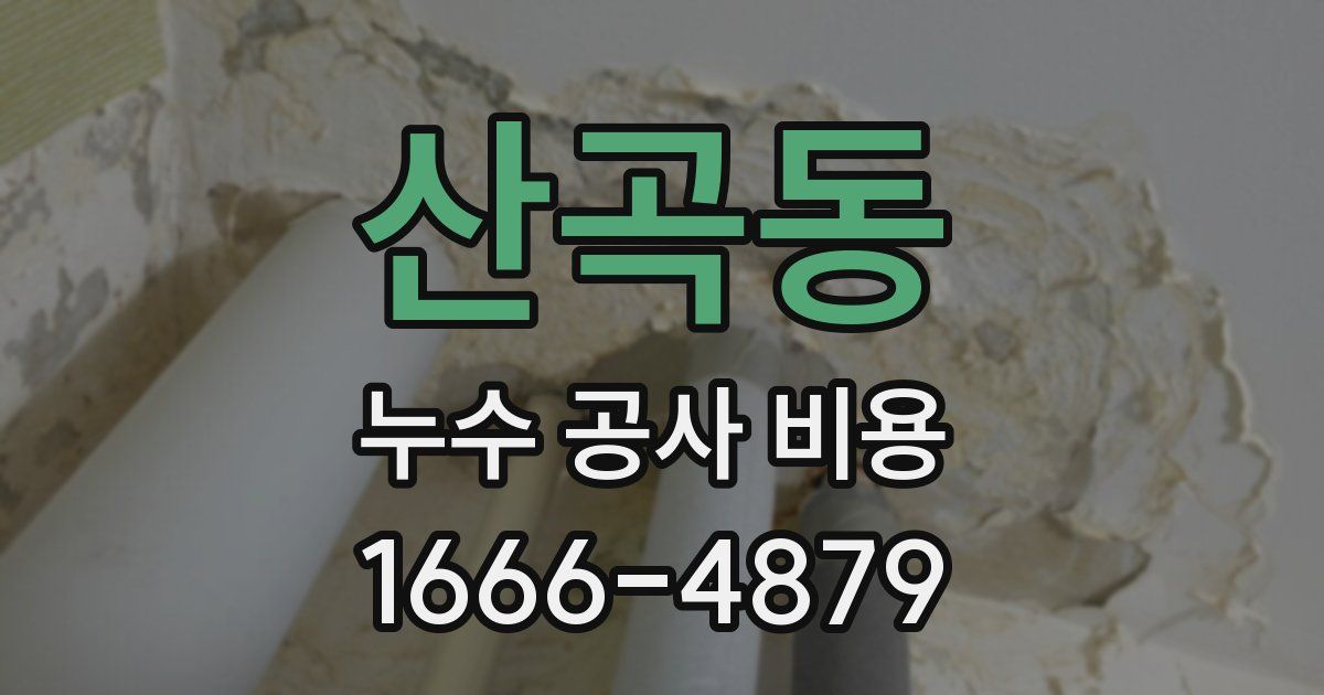 산곡동 누수 공사 비용