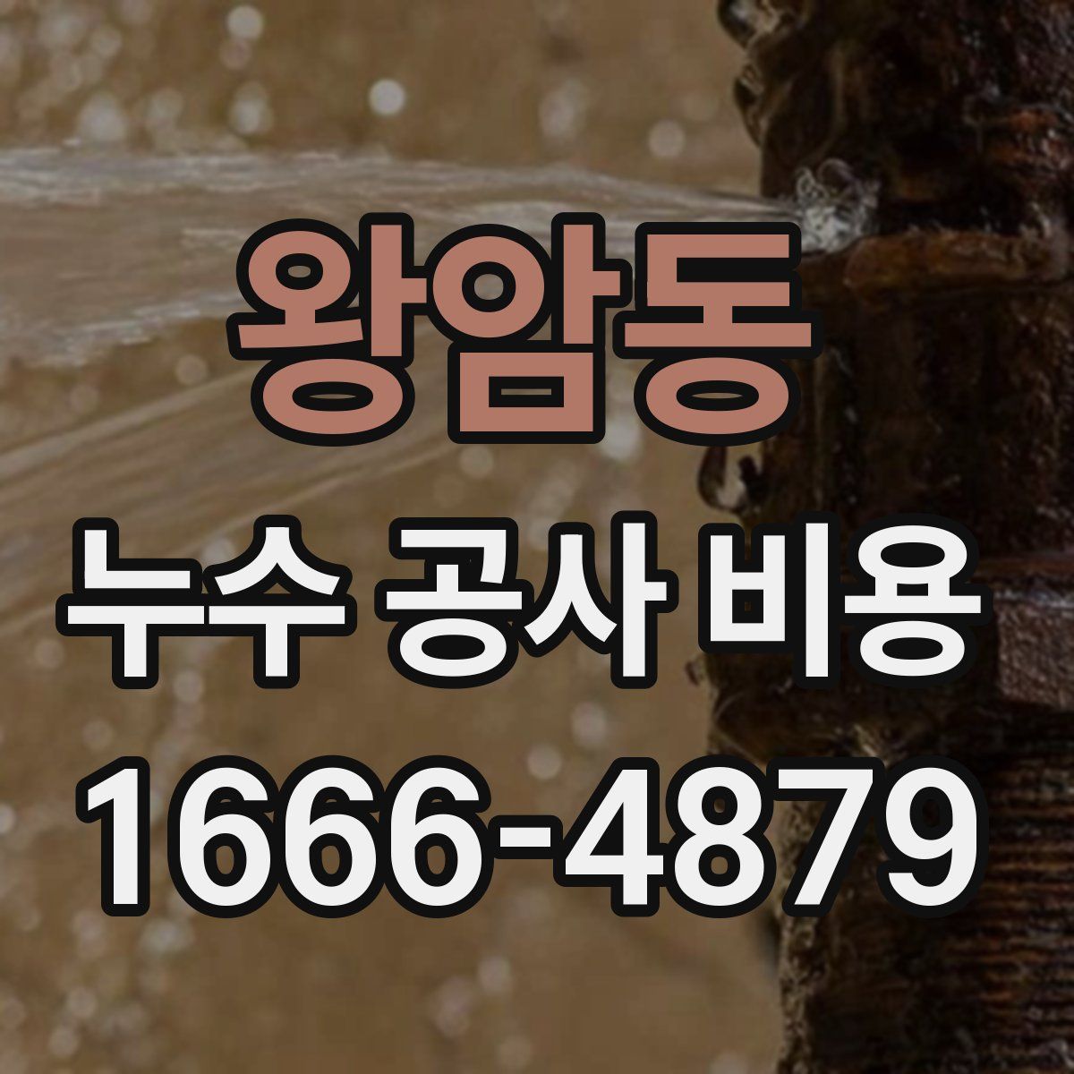 왕암동 누수 공사 비용