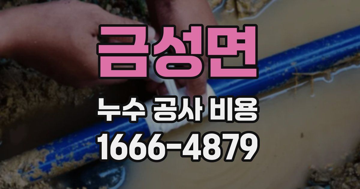 금성면 누수 공사 비용