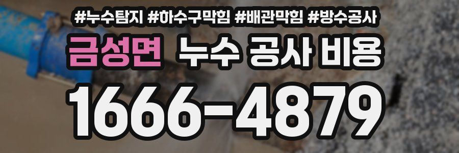금성면 누수 공사 비용