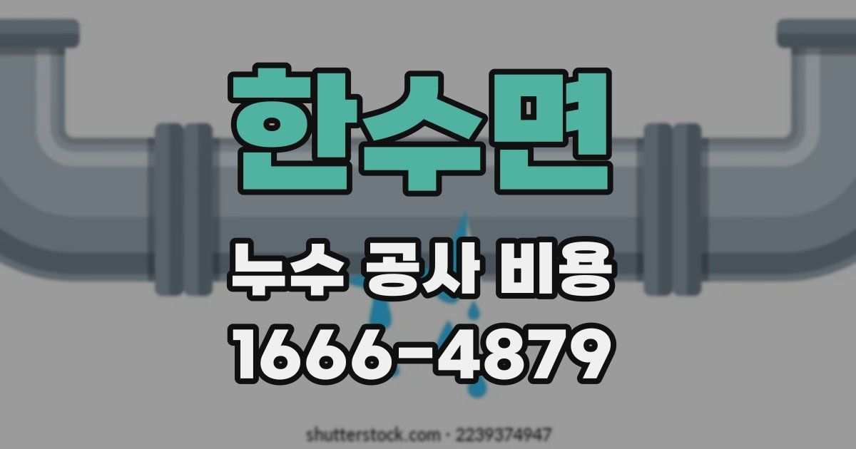 한수면 누수 공사 비용
