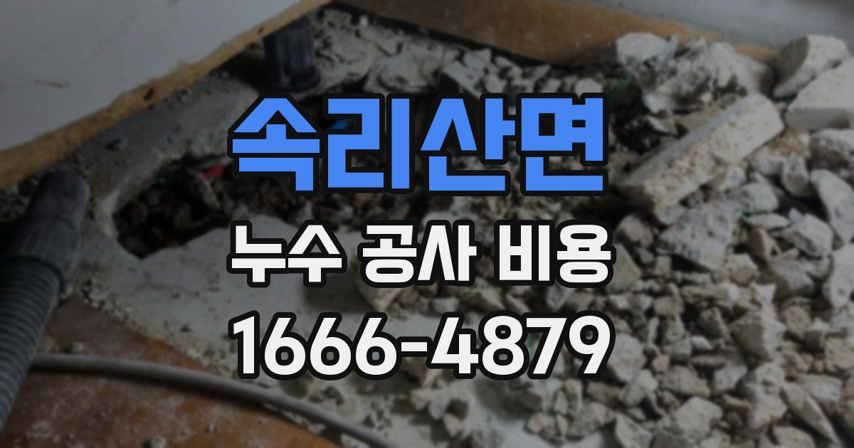 속리산면 누수 공사 비용