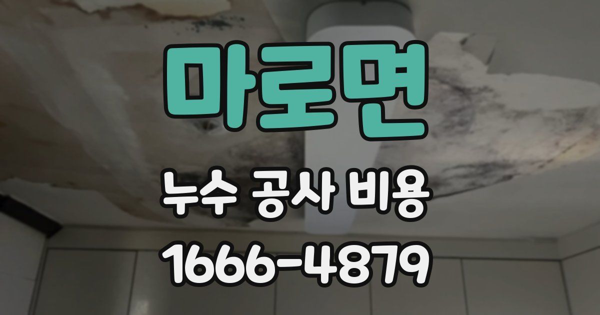 마로면 누수 공사 비용